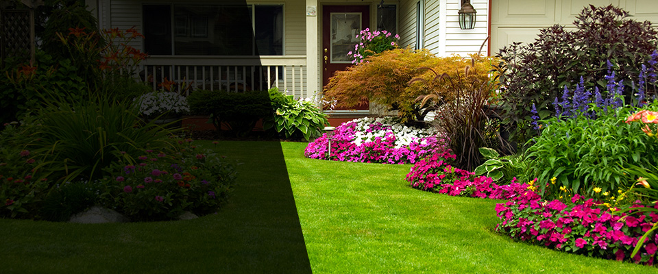 Chester Landscapers